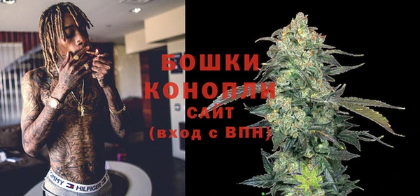 ПСИЛОЦИБИНОВЫЕ ГРИБЫ Арсеньев