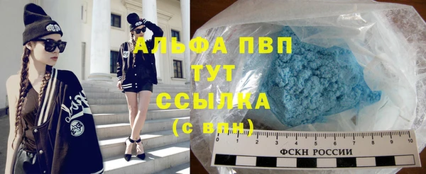 трава Аркадак