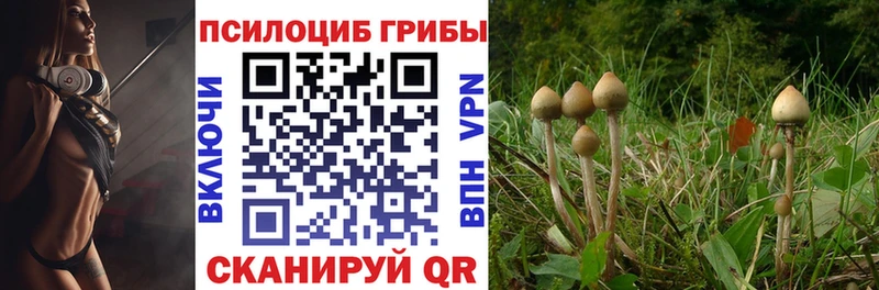 сколько стоит  МЕГА ссылки  Псилоцибиновые грибы мухоморы  Балей 