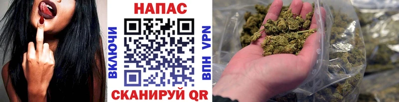 Бошки Шишки семена  Балей 